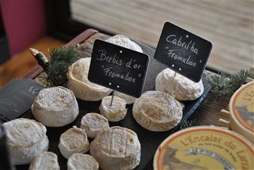 Semaine du fromage : dégustations et rencontres